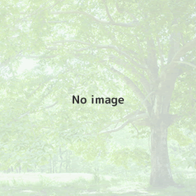 「こころの不調」は、からだから調える時代へ